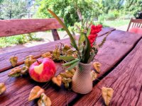 ein Bild aus dem Album